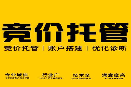 案例解析：SEM托管助力企业品牌形象塑造